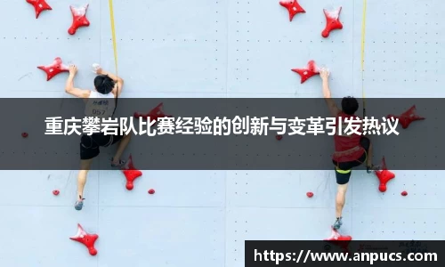 bsports官网登录入口