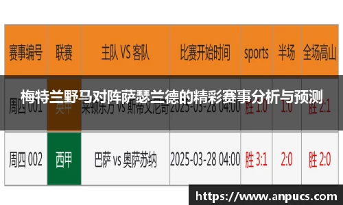 bsports官网入口