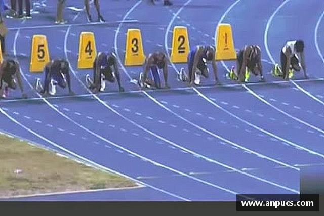 发现bsports官网